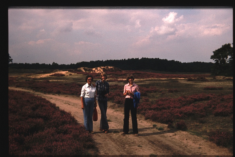 28.Veluwe okt 1977 Ilse,Brigitte,Marion.JPG